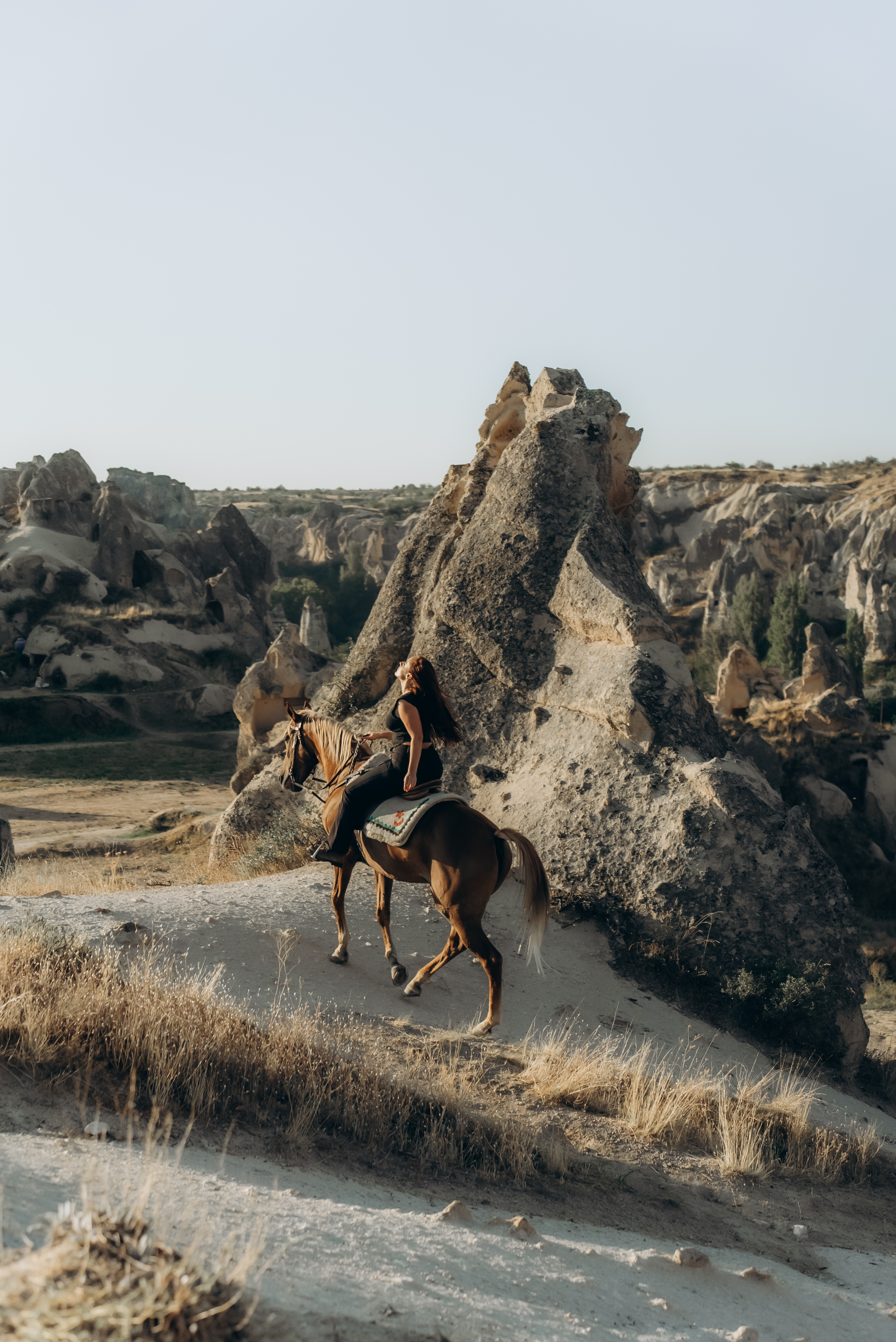 Horseback Riding - 4 Hours